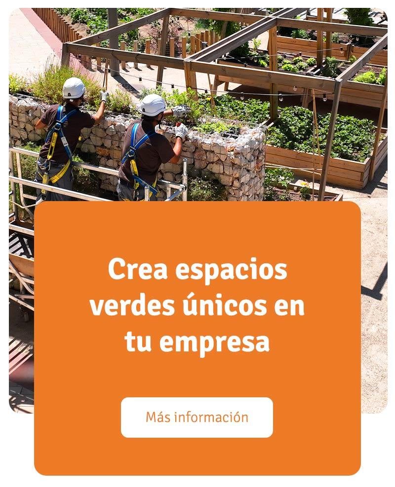 diseno-de-jardines-y-huertos-fundacion-juan-xxiii