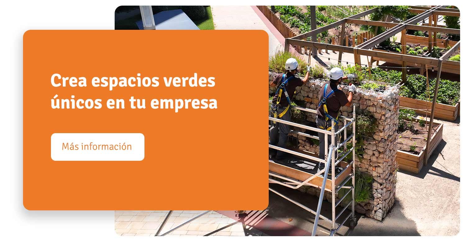 diseno-de-jardines-y-huertos-fundacion-juan-xxiii